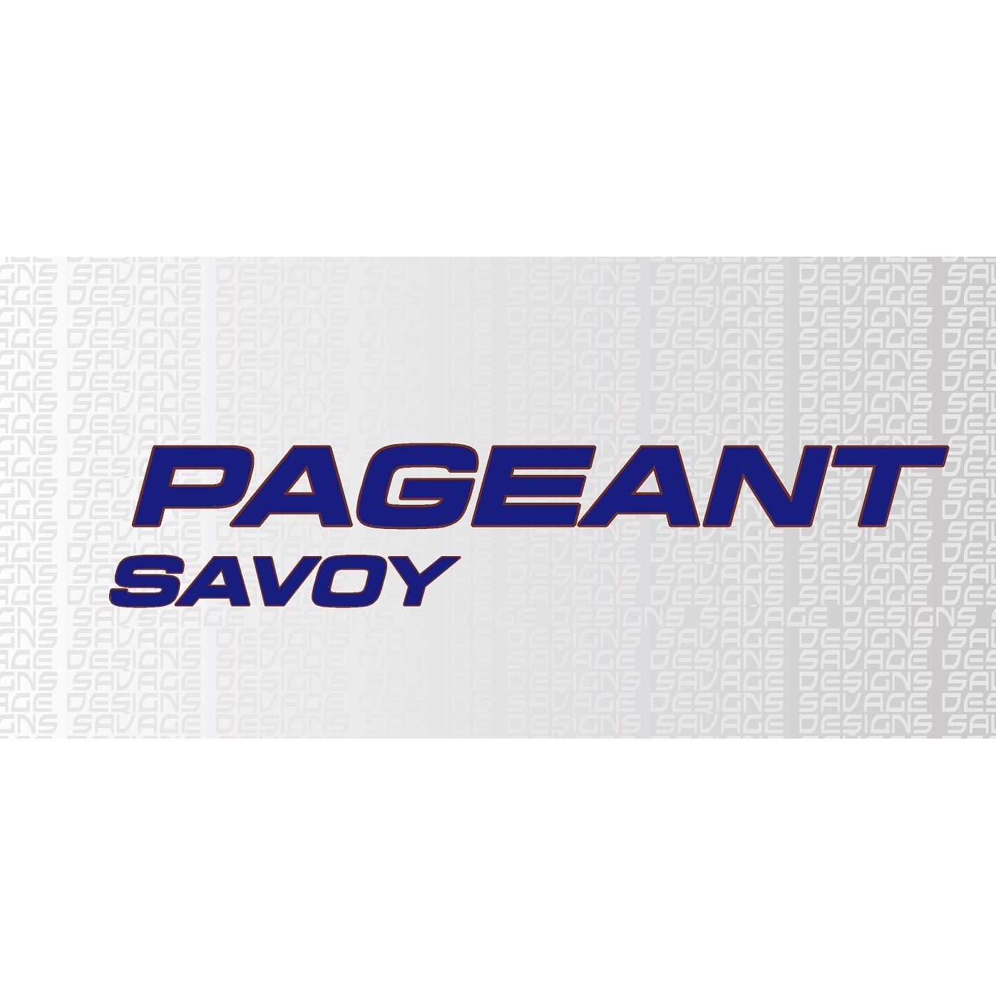1X Bailey Pageant Savoy Blue with Burgandy Border Caravan Decals various sizes