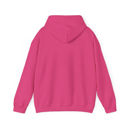 My Other Horse Is An Arab - Equestrian Humour Hooded Sweatshirt