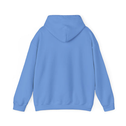 My Other Horse Is An Arab - Equestrian Humour Hooded Sweatshirt