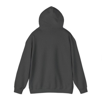 Airstream Inspired Hoody  - Design Exclusive To Savage Designs