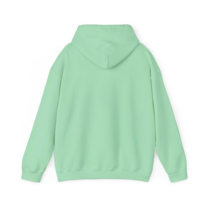 Airstream Inspired Hoody  - Design Exclusive To Savage Designs