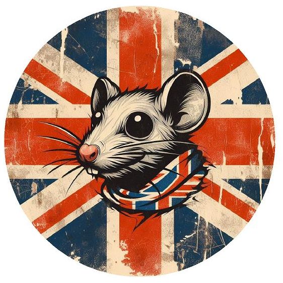 Rat Look / Rod Sticker ,Various Designs Car Bumper / Window Decal Vinyl  15x15cm