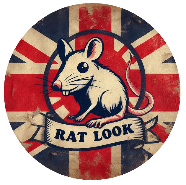Rat Look / Rod Sticker ,Various Designs Car Bumper / Window Decal Vinyl  15x15cm