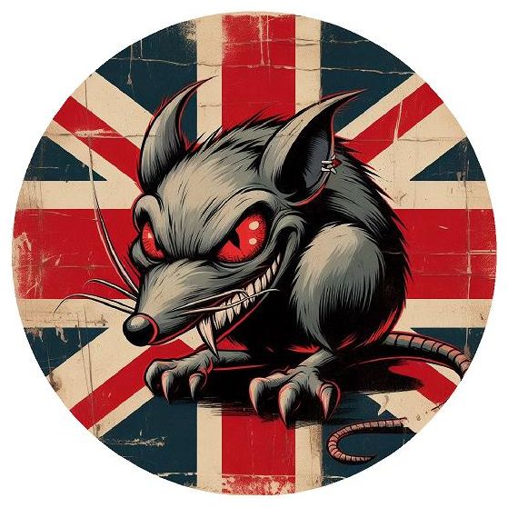 Rat Look / Rod Sticker ,Various Designs Car Bumper / Window Decal Vinyl  15x15cm
